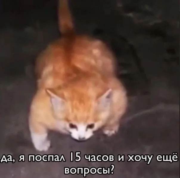 Нестандартный юмор :)