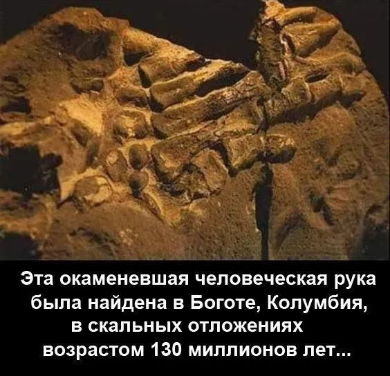 Прикольные и просто красивые картинки