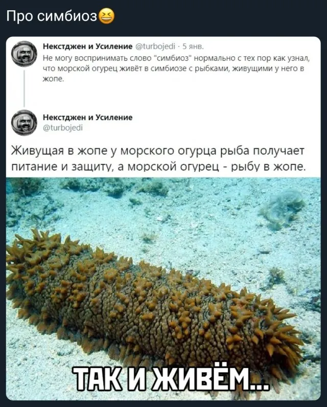 Картинки Картинки
