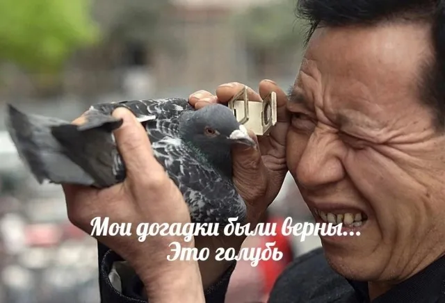 Так себе картинки Так себе картинки