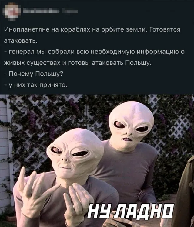 Картинки (06/03/2023)