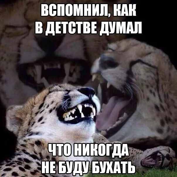 Ещё по одной Ещё по одной
