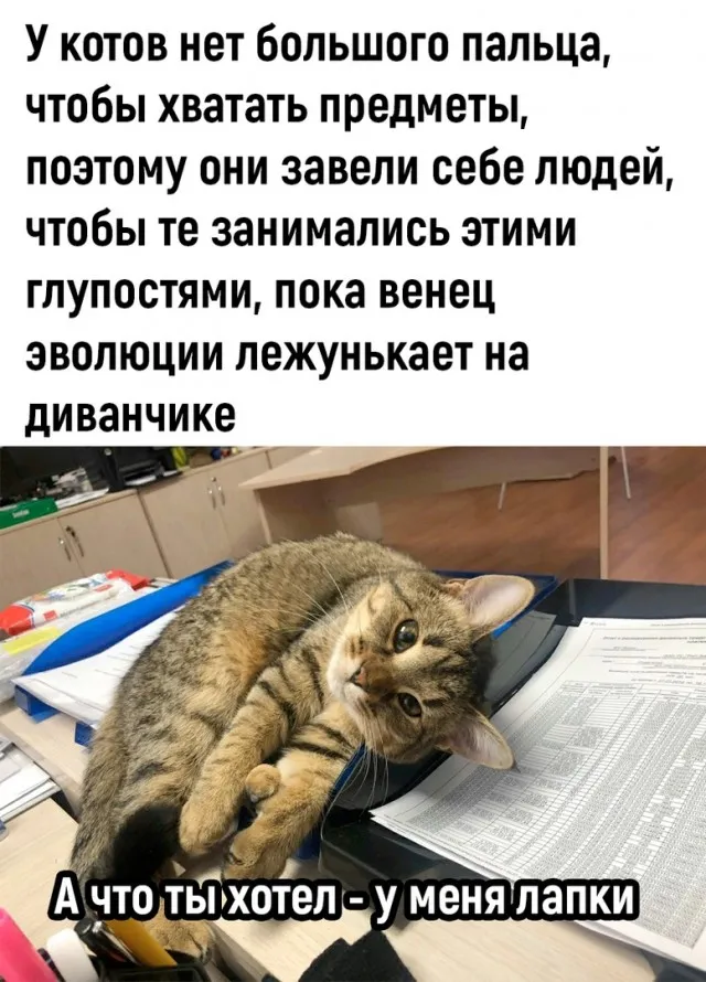 Так себе картинки Так себе картинки