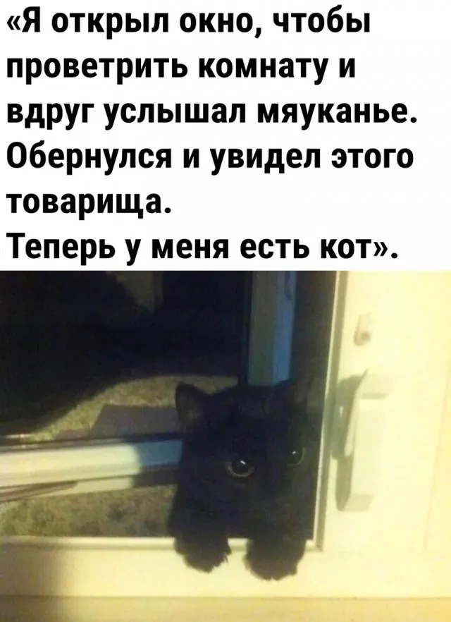Так себе картинки Так себе картинки