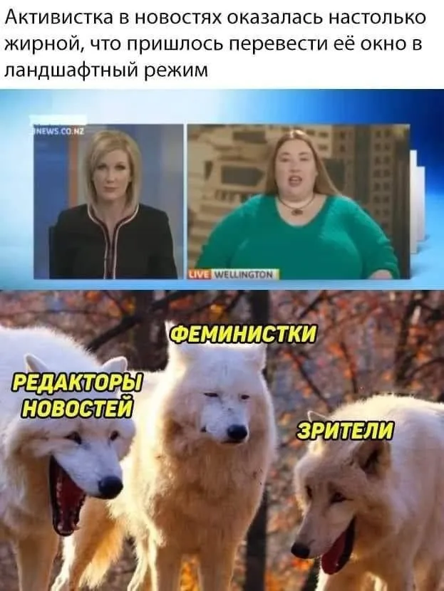 Картинки Картинки
