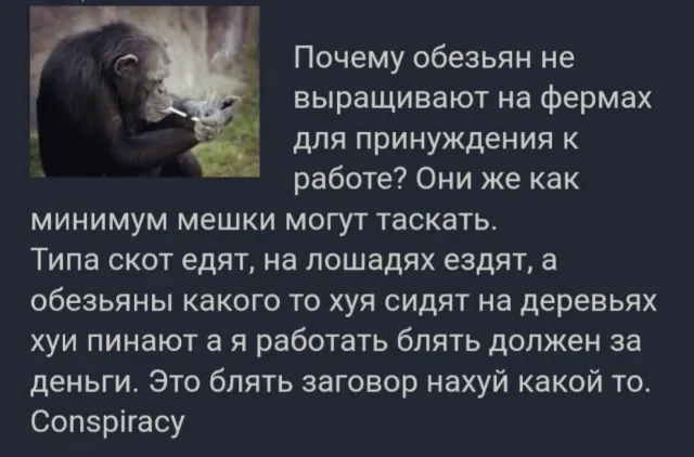 Картинки Картинки