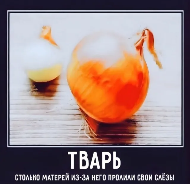 Картинки Картинки