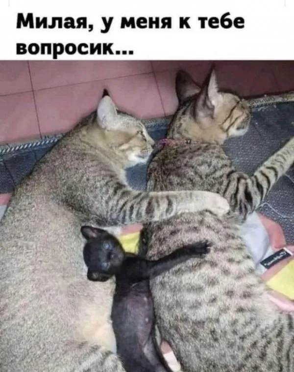 Немного картинок для настроения Немного картинок для настроения