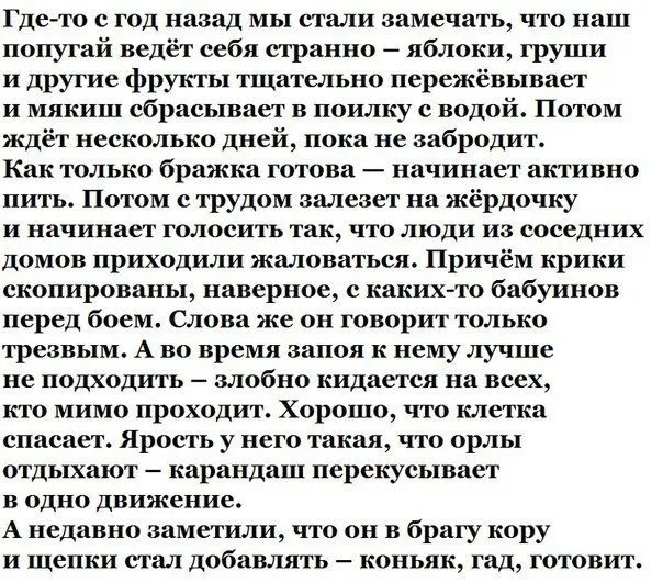 Немного картинок для настроения Немного картинок для настроения