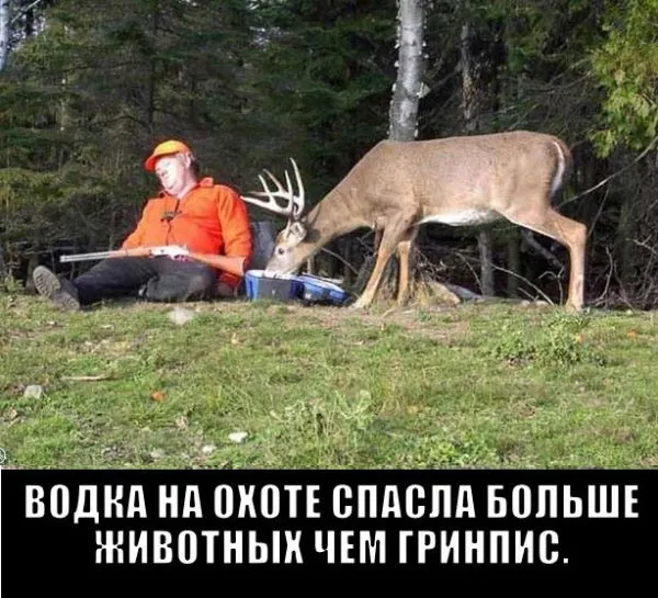 Так себе картинки Так себе картинки