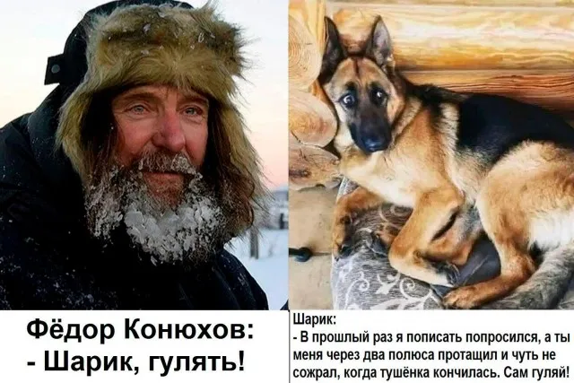 Юмор в картинках и без Юмор в картинках и без