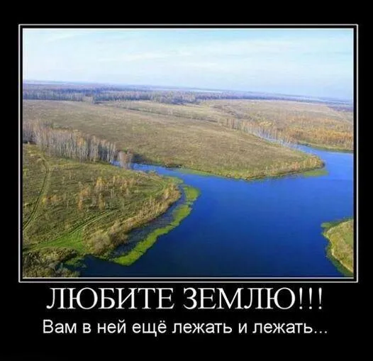 Баяны с оттенком праздника