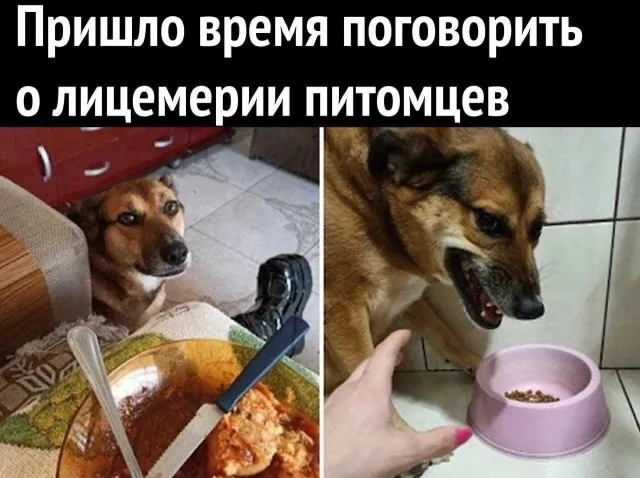 Картинок разной степени Картинок разной степени