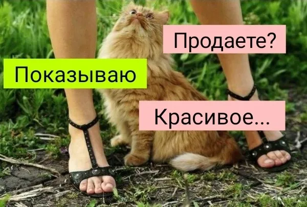 Баянчики