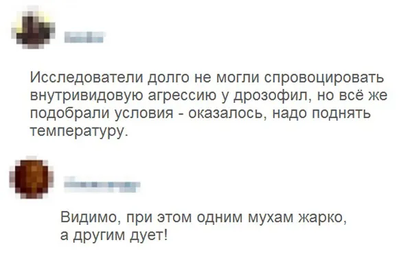 Баянчики Баянчики