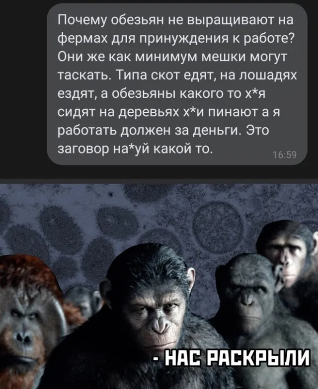 Весёлые Весёлые