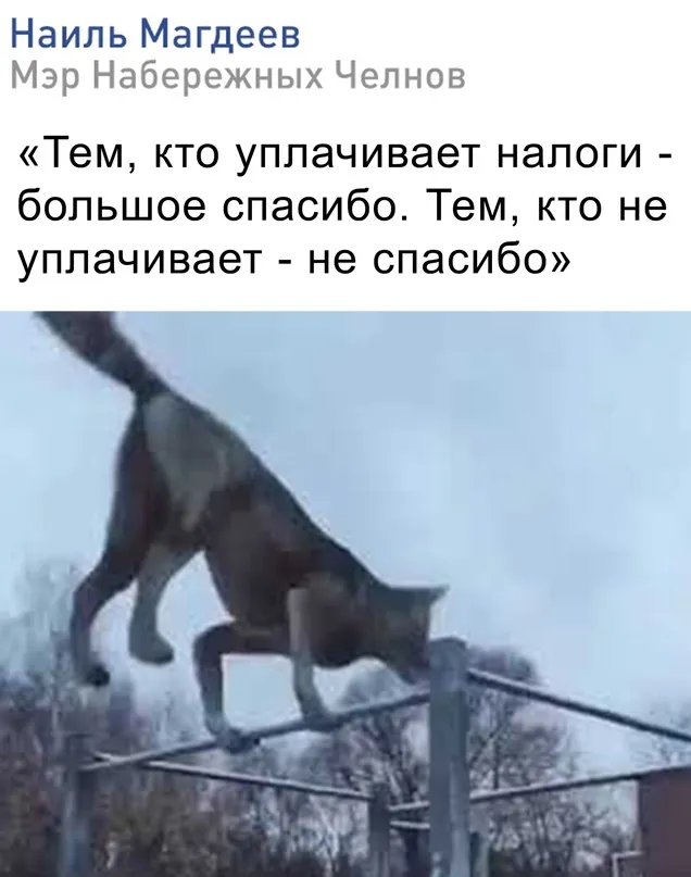 Весёлые Весёлые