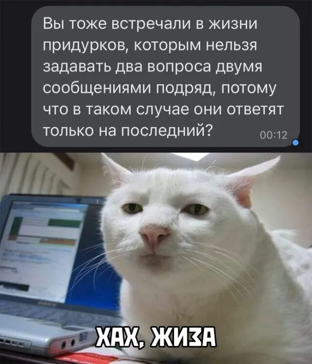 Весёлые Весёлые