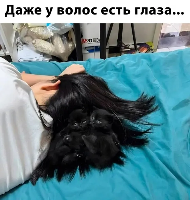 Немного картинок для настроения - 289