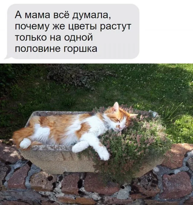 Немного картинок для настроения - 289