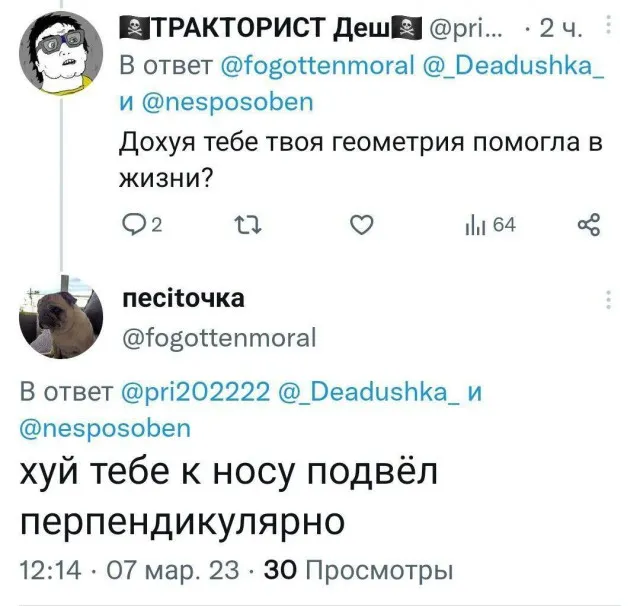 Картинки (16/03/2023)