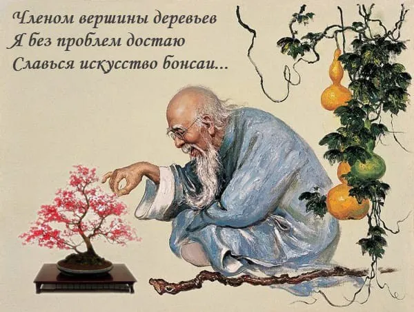 Картинки (16/03/2023)