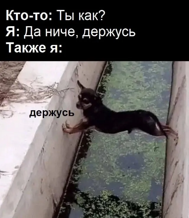 Картинки Картинки