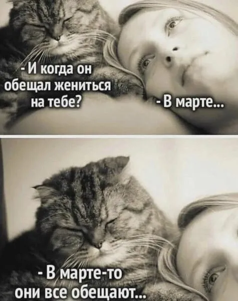 Юмор в картинках и без Юмор в картинках и без