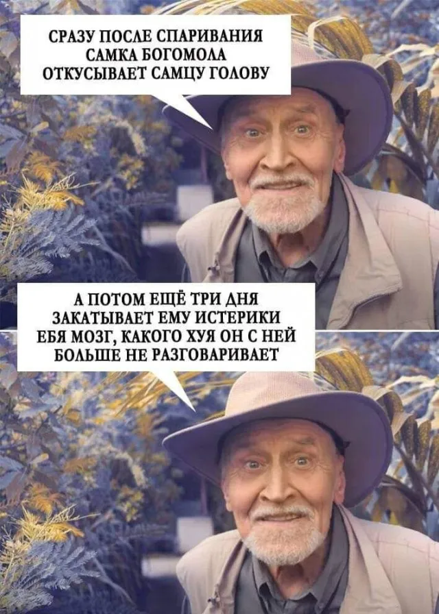 Юмор в картинках и без Юмор в картинках и без