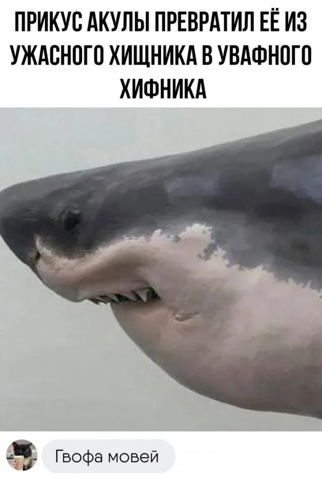Картинок разной степени Картинок разной степени