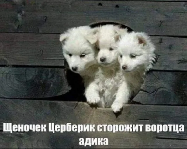 Картинок разной степени Картинок разной степени