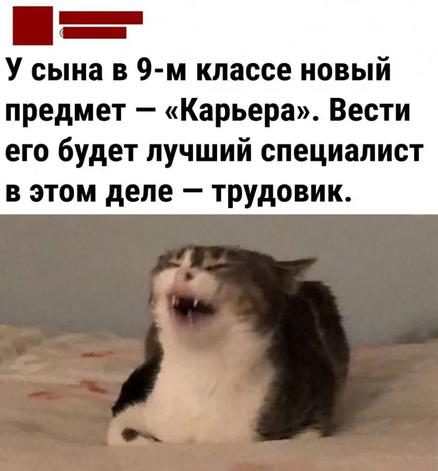 Картинок разной степени Картинок разной степени