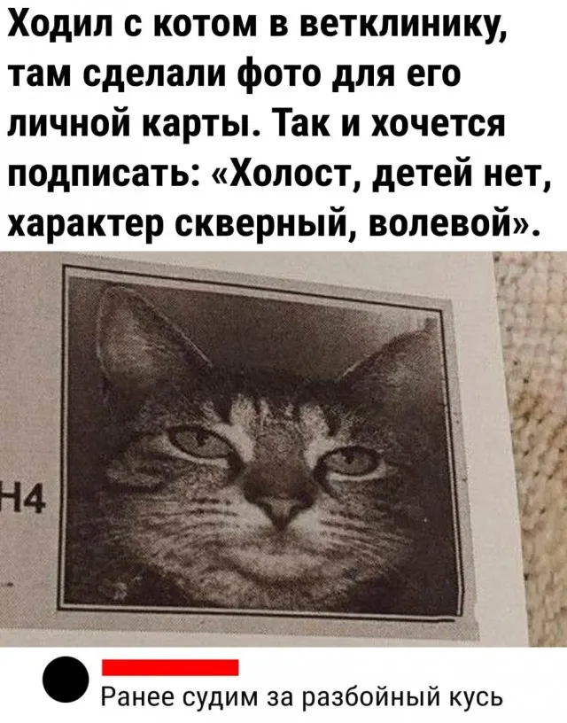 Картинок разной степени Картинок разной степени