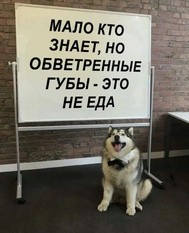 Картинки Картинки