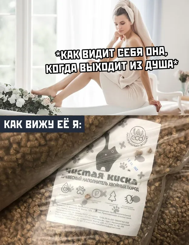 Картинки и мемы Картинки и мемы