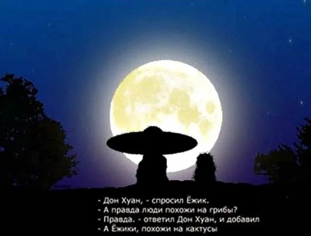 Картинки Картинки