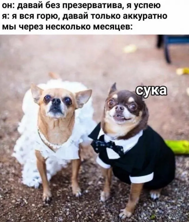 Немного слегка пошлых картинок с надписями Немного слегка пошлых картинок с надписями