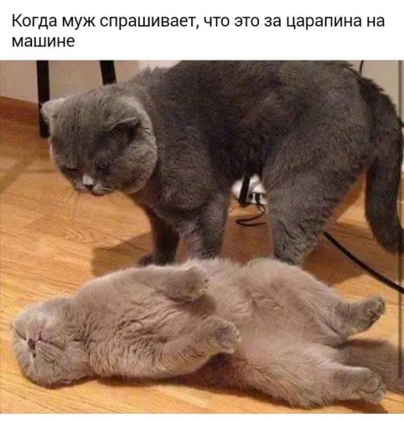 Немного слегка пошлых картинок с надписями Немного слегка пошлых картинок с надписями