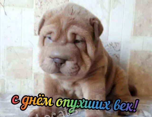 Так себе картинки Так себе картинки