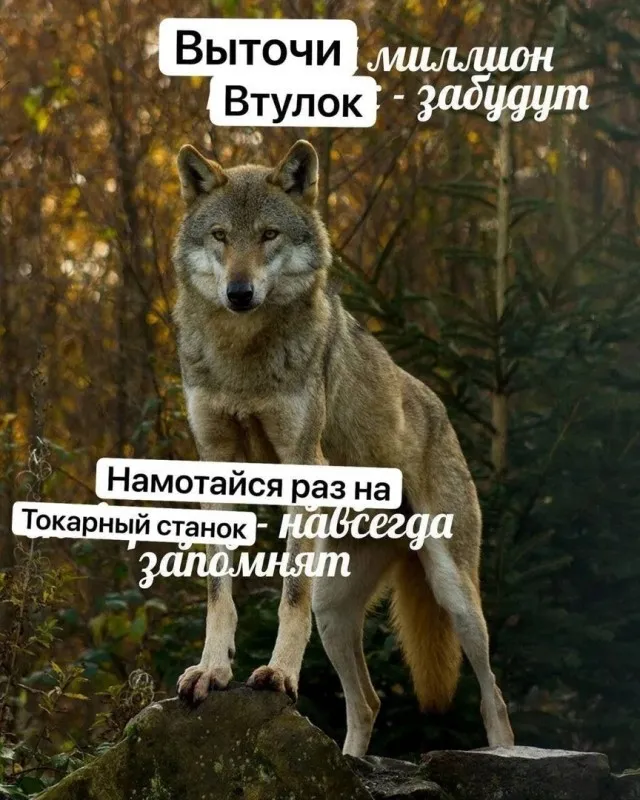 Так себе картинки Так себе картинки