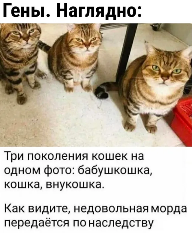 Так себе картинки Так себе картинки