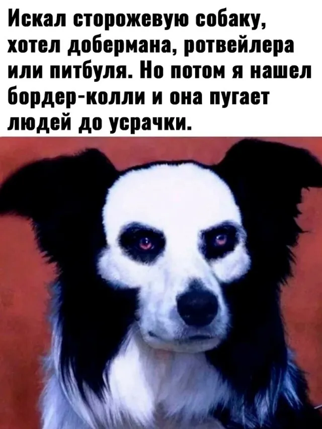 Так себе картинки Так себе картинки