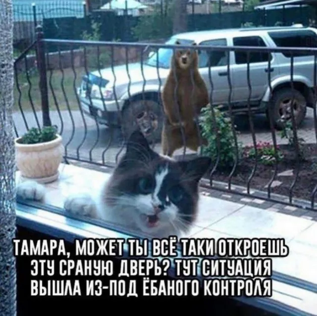Так себе картинки Так себе картинки