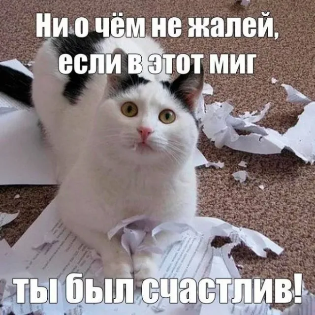 Немного картинок для настроения Немного картинок для настроения