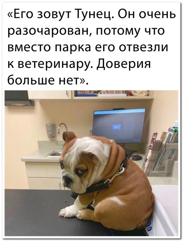 Забавные комментарии из социальных сетей Забавные комментарии из социальных сетей