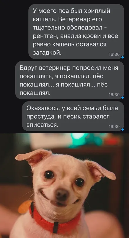 Весёлые Весёлые