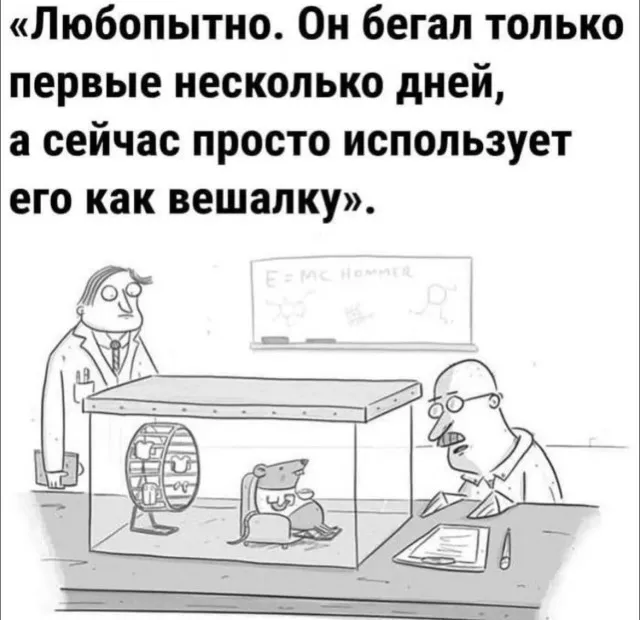 Картинки аморальные Картинки аморальные