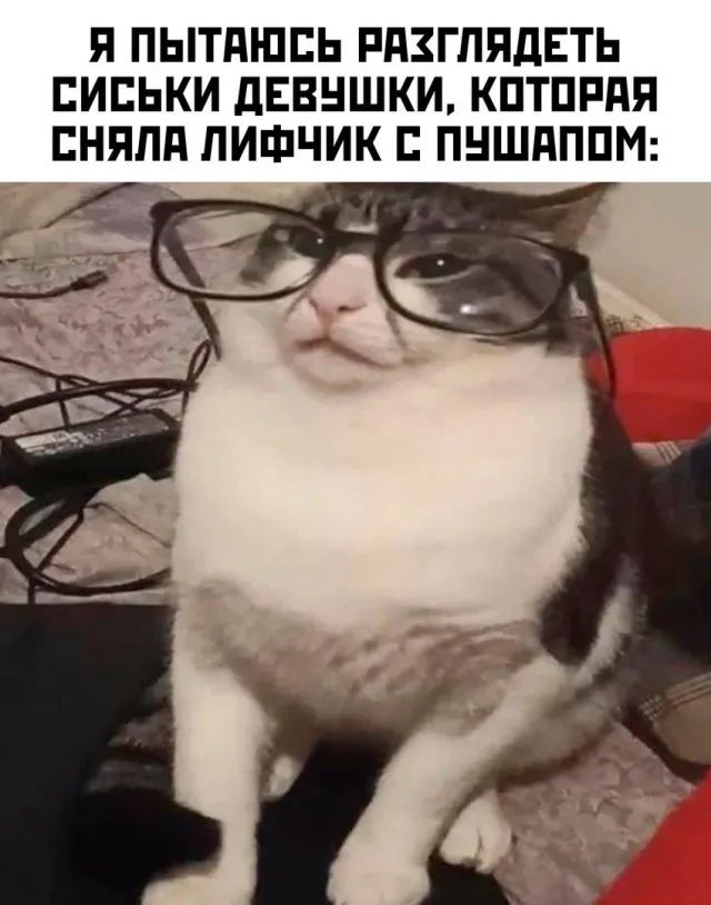 Пошлые и не очень Пошлые и не очень