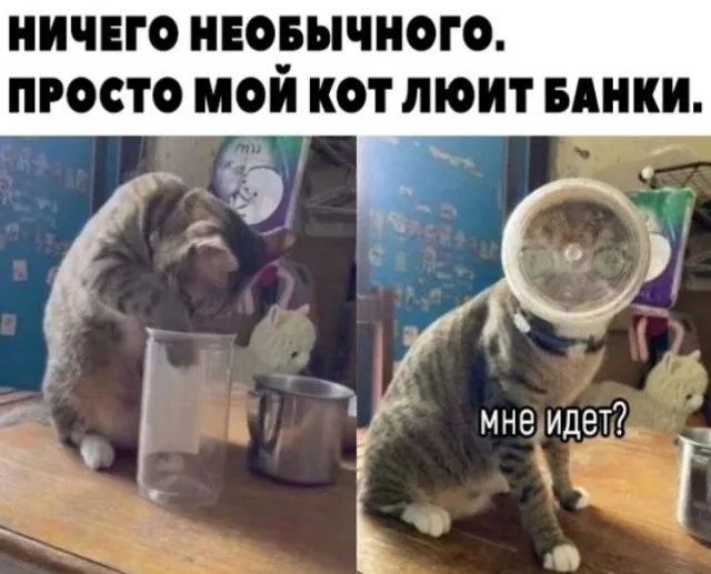 Картинки Картинки