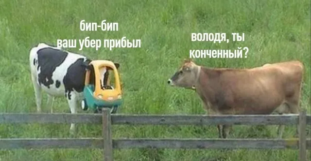 Так себе картинки Так себе картинки